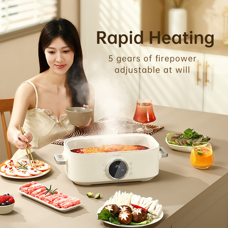 10L 3-in-1 Electric Food Steam - đánh giá và giá Home Cooking Restaurants